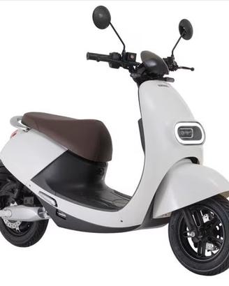 Wayel W2 - 2022