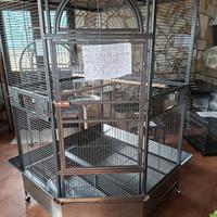 voliera angolare enorme, imballata 3714478020