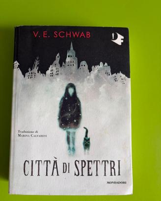 Libro Città degli spettri