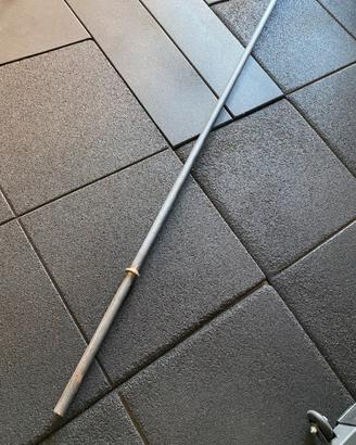 Bilanciere manubri e 20 kg di dischi per home gym