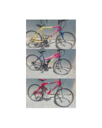 Bici  mountain bike