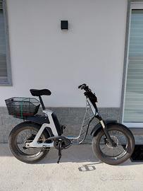bicicletta elettrica 