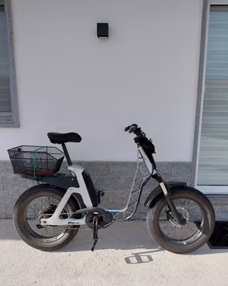 bicicletta elettrica 