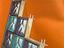 Immagine 1