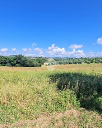 TER. AGRICOLO A NARNI