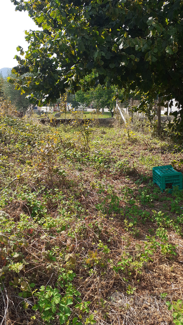 Terreno agricolo - Vista 3