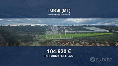 Immobile in asta di 76860 m² a Tursi