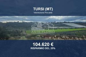 Immobile in asta di 76860 m² a Tursi