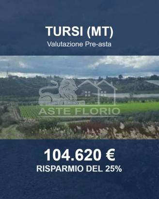 Immobile in asta di 76860 m² a Tursi
