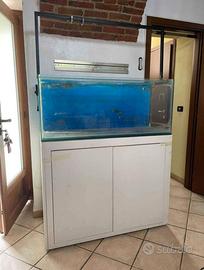 Acquario Marino 300LT con attrezzatura