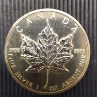 Canada 1 oz Argento 5 Dollari 1989
