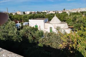 Trullo ristrutturato a Carovigno vicino Ostuni