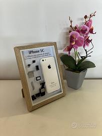 iPhone 5C White A1507 Disassemblato e Incorniciato