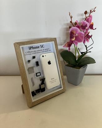 iPhone 5C White A1507 Disassemblato e Incorniciato