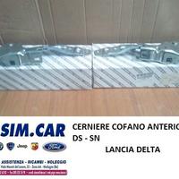 Cerniere Cofano Ant. Ds-Sn Lancia Delta
