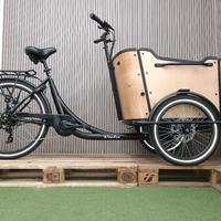 cargo Bike  Curvy
