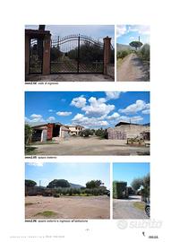 Tsmcv 156/2025 lotto 1 fabbricato