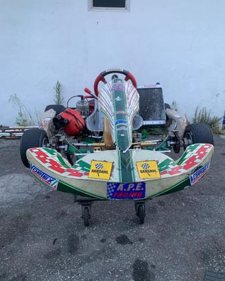 Tony kart 2014