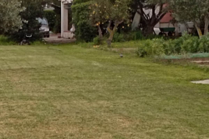 Villetta a pochi passi dal mare