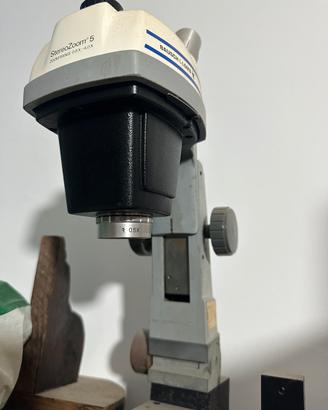 Microscopio Bausch & Lomb StereoZoom 5.