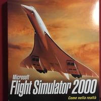 Flight Simulator 2000