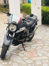 Moto Guzzi Breva 1100 - 2005