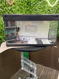 ACQUARIO 60cmX40cm 63L