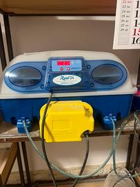 Incubatrice borotto 24