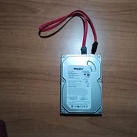 Hard Disc 80 Gbyte 