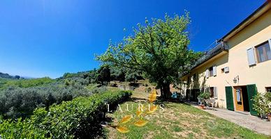 Rustico / Casale di 583 m² con più di 5 locali e b