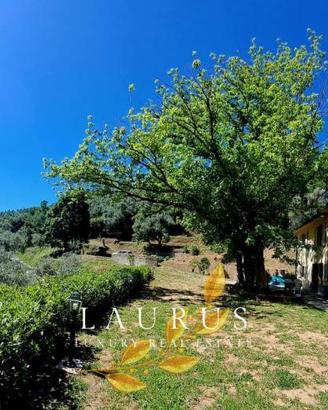 Rustico / Casale di 583 m² con più di 5 locali e b
