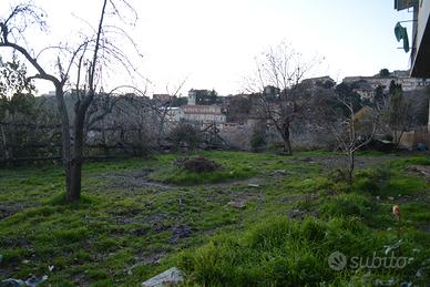 Abitazioni, orto, veranda