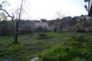 Abitazioni, orto, veranda