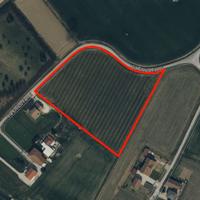 Terreno agricolo con frutteto di 12.459 mq