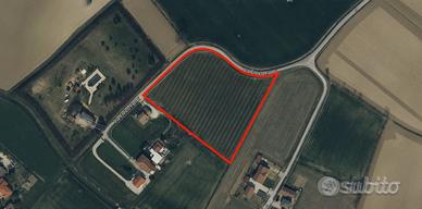 Terreno agricolo con frutteto di 12.459 mq