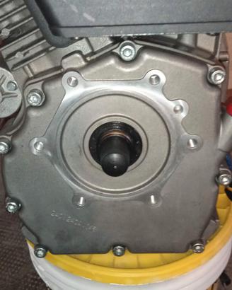 motor lombardini 