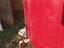 Immagine 4