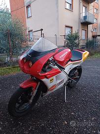 Moto cagiva mito 50