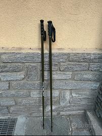 Bastoncini da sci alpino