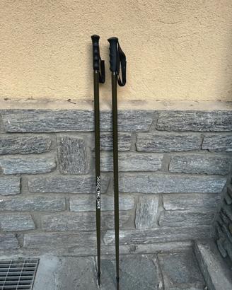 Bastoncini da sci alpino