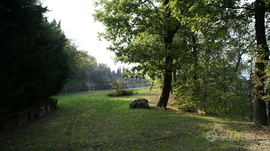 Terreno Pieve del Pino