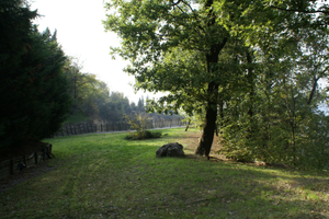 Terreno Pieve del Pino