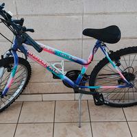 mountain-bike 