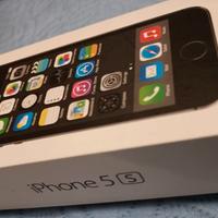 Apple iPhone 5s + cover e caricatore