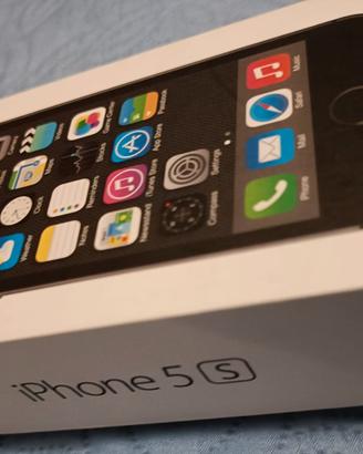 Apple iPhone 5s + cover e caricatore