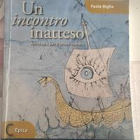 UN INCONTRO INATTESO