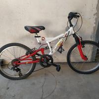 Bicicletta 20