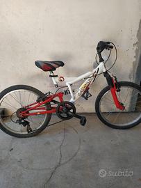 Bicicletta 20