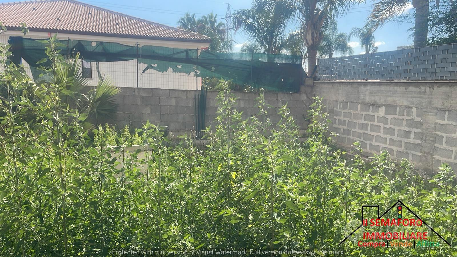 Appartamento – Borgetto, Palermo - Vista 2