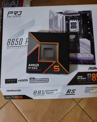 ryzen 5 9600x fortunato
